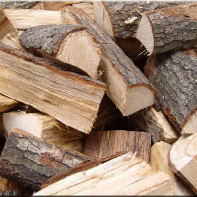 Gulyás: hatósági áras lesz a tűzifa az erdőgazdaságoknál